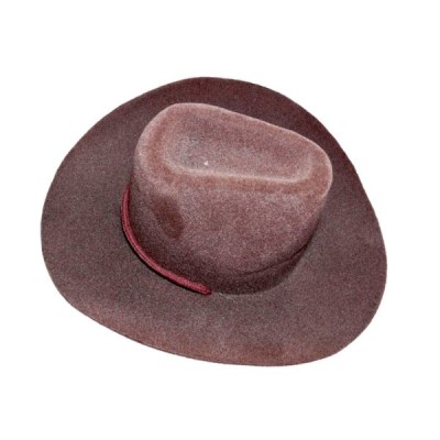 Cowboy Hat